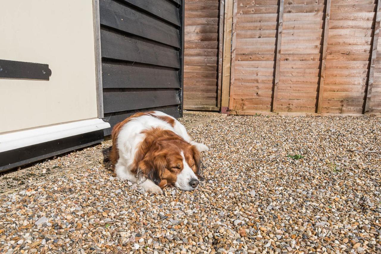 Abigail'S Cottage, Wickham Market Woodbridge Dış mekan fotoğraf